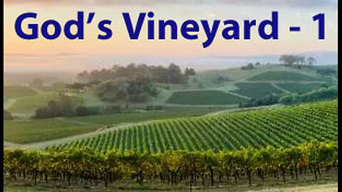 God's Vineyard - 1
