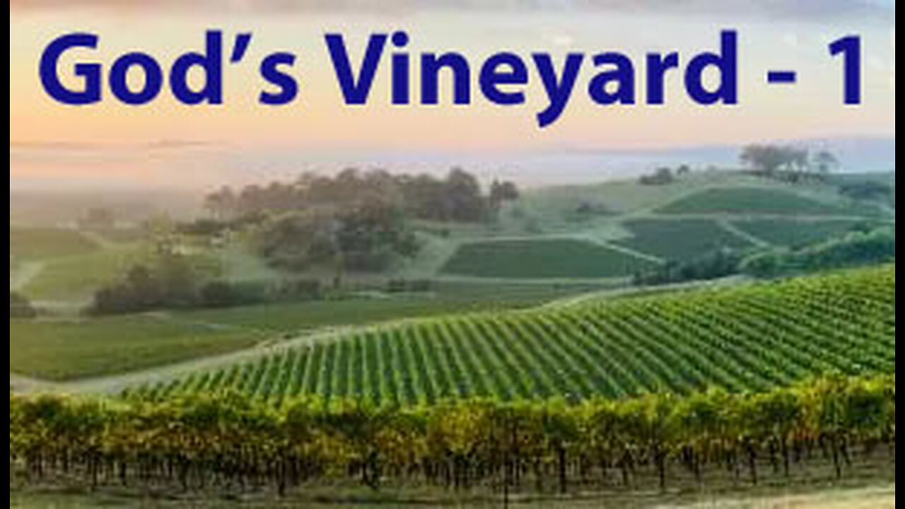 God's Vineyard - 1