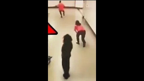 SCARY Videos to RUIN Your SLEEP