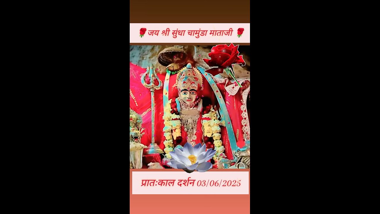 3.6.2025 SUNDHA MATA AARTI DARSHAN