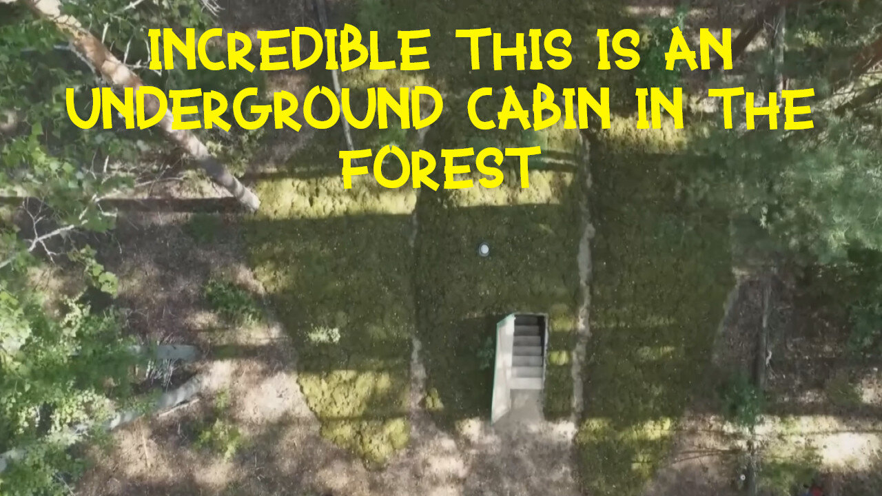 A man in the forest built a secret hut underground.