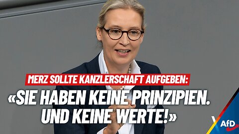 Alice Weidel (AfD) zerlegt WEF/Blackrock CDU Merz in alle Einzelteile