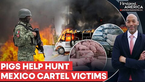 Mexico Drug Cartel Violence: Scientists Use Pigs & Drones To Find Victims | Firstpost America | N18G