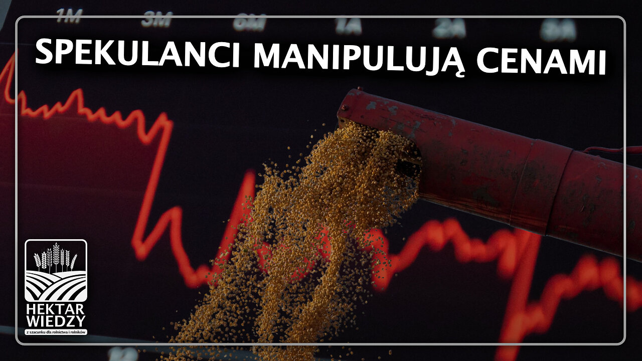 SPEKULANCI MANIPULUJĄ CENAMI