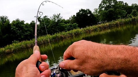 Crappie and bluegill fishing