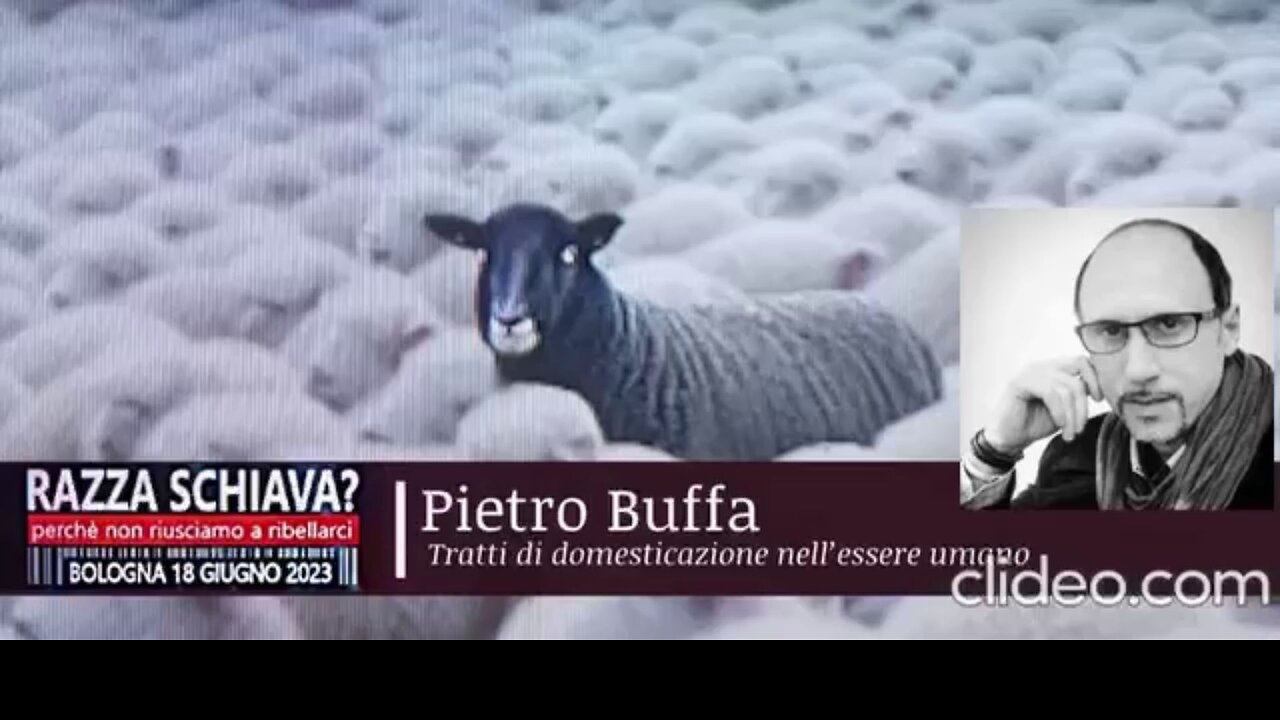 Razza Schiava? - Tratti di domesticazione nell’essere umano - Pietro Buffa