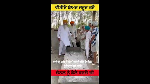 satisfying Video