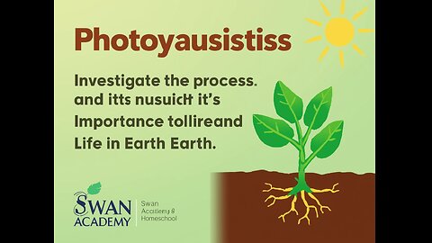 Photosynthesis Investigate the Process and Its Importance to Life on Earth