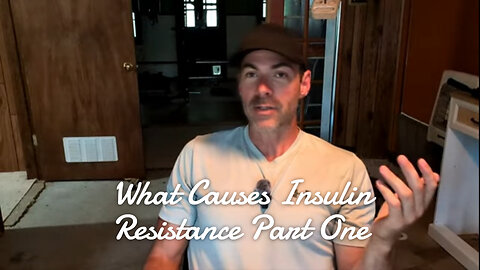 What Causes Insulin Resistance (Part One)