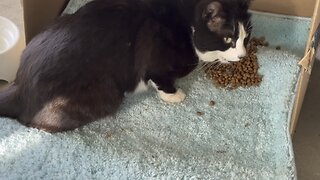 Black & White Returns and Looks So Much Better