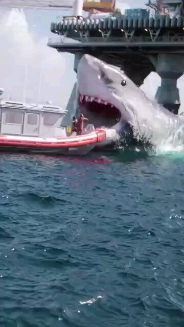 #cute and small#big and scary