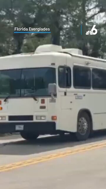 Homeland Security bus arrives at Alligator Alcatraz!! First batch of illegals are t