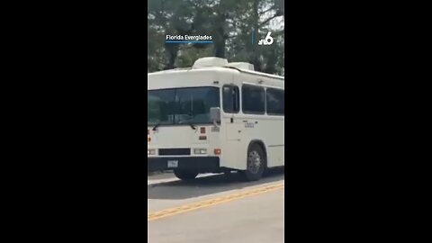 Homeland Security bus arrives at Alligator Alcatraz!! First batch of illegals are t