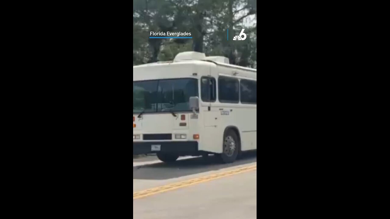Homeland Security bus arrives at Alligator Alcatraz!! First batch of illegals are t