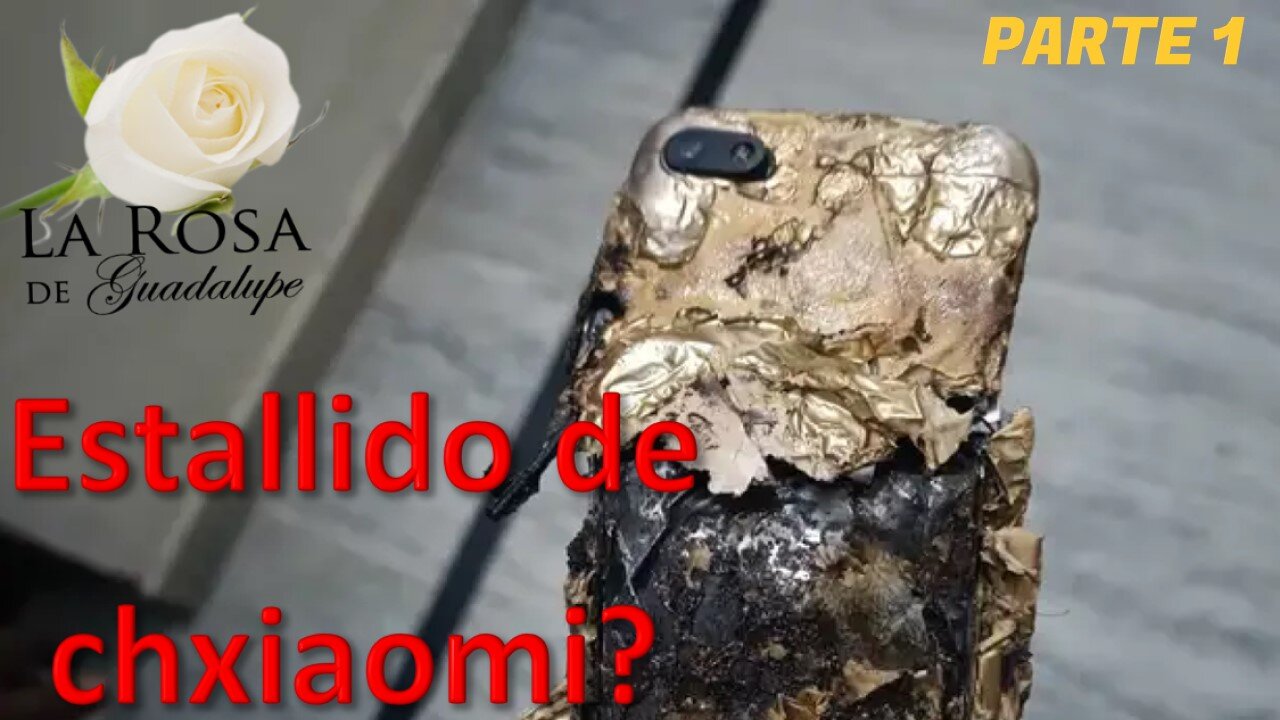 Reaccionando a la Rosa de guadalupe - Estallido de amor - movil pirata!!