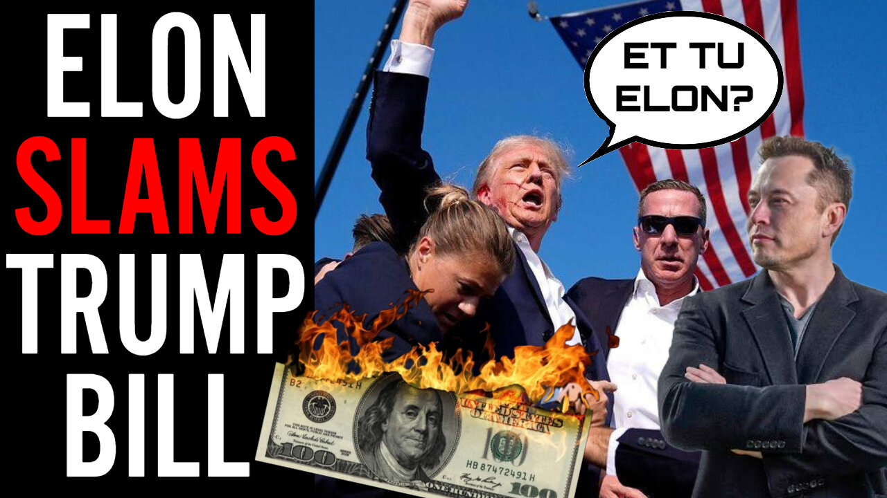 Elon Musk Goes To WAR With Donald Trump!! He Wants To KILL The "Big Beautiful Bill" In The Senate!!