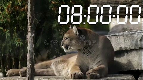 puma listen to music for 1 hour and 28 minutes