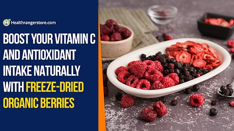 Boost your vitamin C and antioxidant intake naturally with Freeze-Dried Organic Berries
