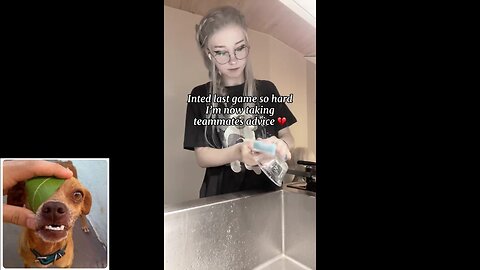 Funny videos compilation 52