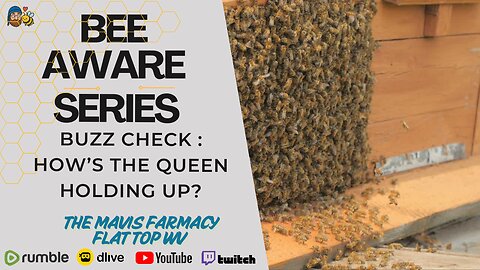 Bee Aware Series | Buzz Check: How’s the Queen Holding Up?
