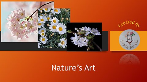 Magical Flower Blossoms in Nature | Soothing & Satisfying 🌸🌿