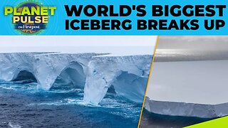 World’s Largest Iceberg A23-a Melts Away After 40 Years at Sea | Planet Pulse | N18G
