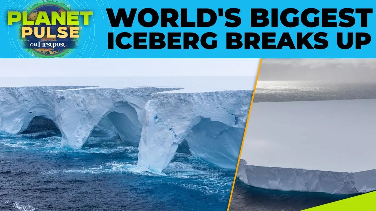 World’s Largest Iceberg A23-a Melts Away After 40 Years at Sea | Planet Pulse | N18G