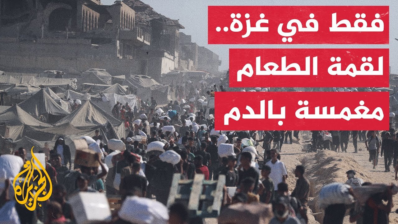 المجاعة تدفع الغزيين في رحلة موت يومية نحو شمال قطاع غزة
