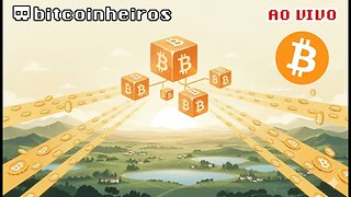 LIVE dos Bitcoinheiros - 05/11/2025