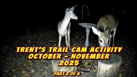 Trent's Trail Cam Activity - October & November 2025 - Part 2 Of 6