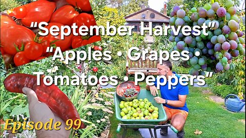 Huge September Harvest | Apples for Cider, Tomatoes, Grapes & Peppers