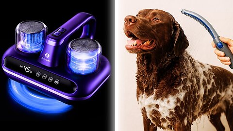 19 Must-Have AMAZON DOG Cleaning & Grooming Products You NEED!