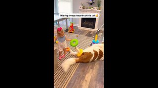 Love All Life Always #357 - Nothing Sweeter Than A Dog's Love For His Human Child ❤️