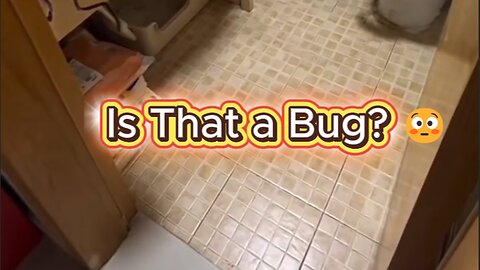Is That a Bug? 😳