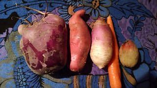 Love Your Health