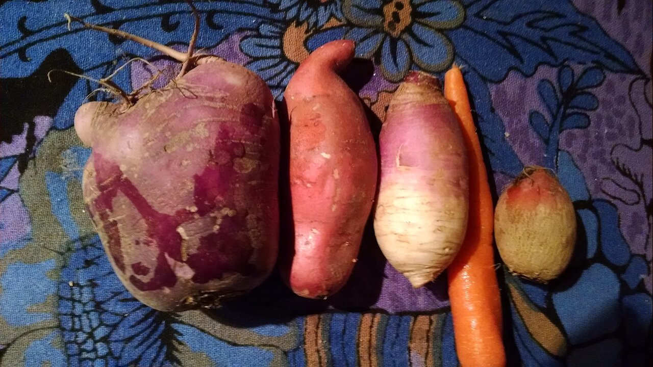 Love Your Health