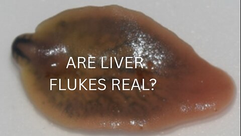 Our liver fluke’s real