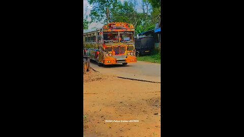 i my like bus store❤️
