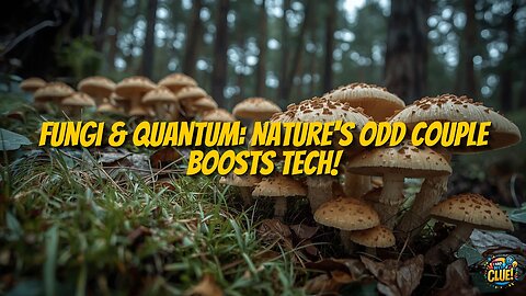 Quantum Computing's Unexpected Ally: Mycorrhizal Networks