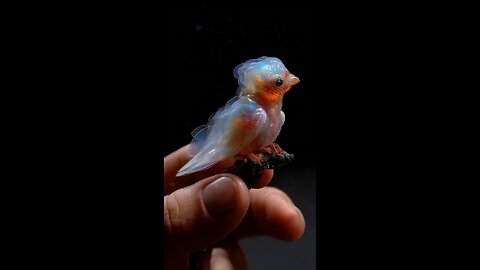 amazing bird