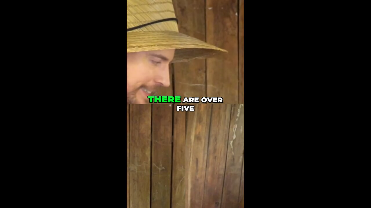 MR Beast Video