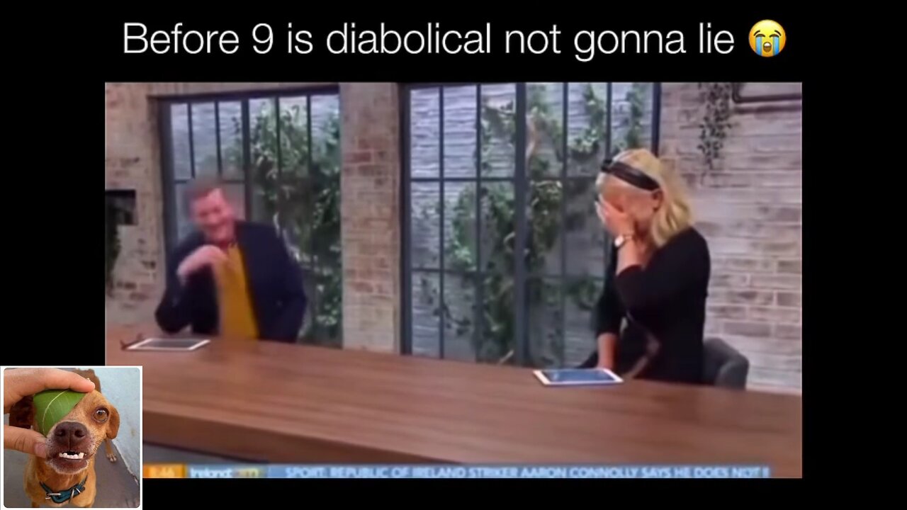 Funny videos compilation 14