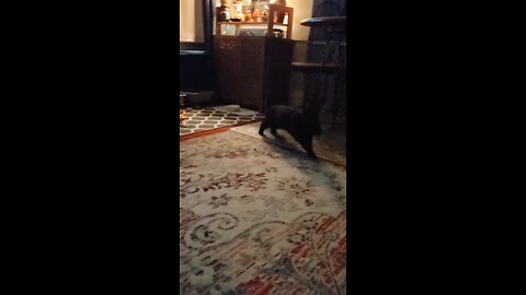 Sometimes you just gotta jump!