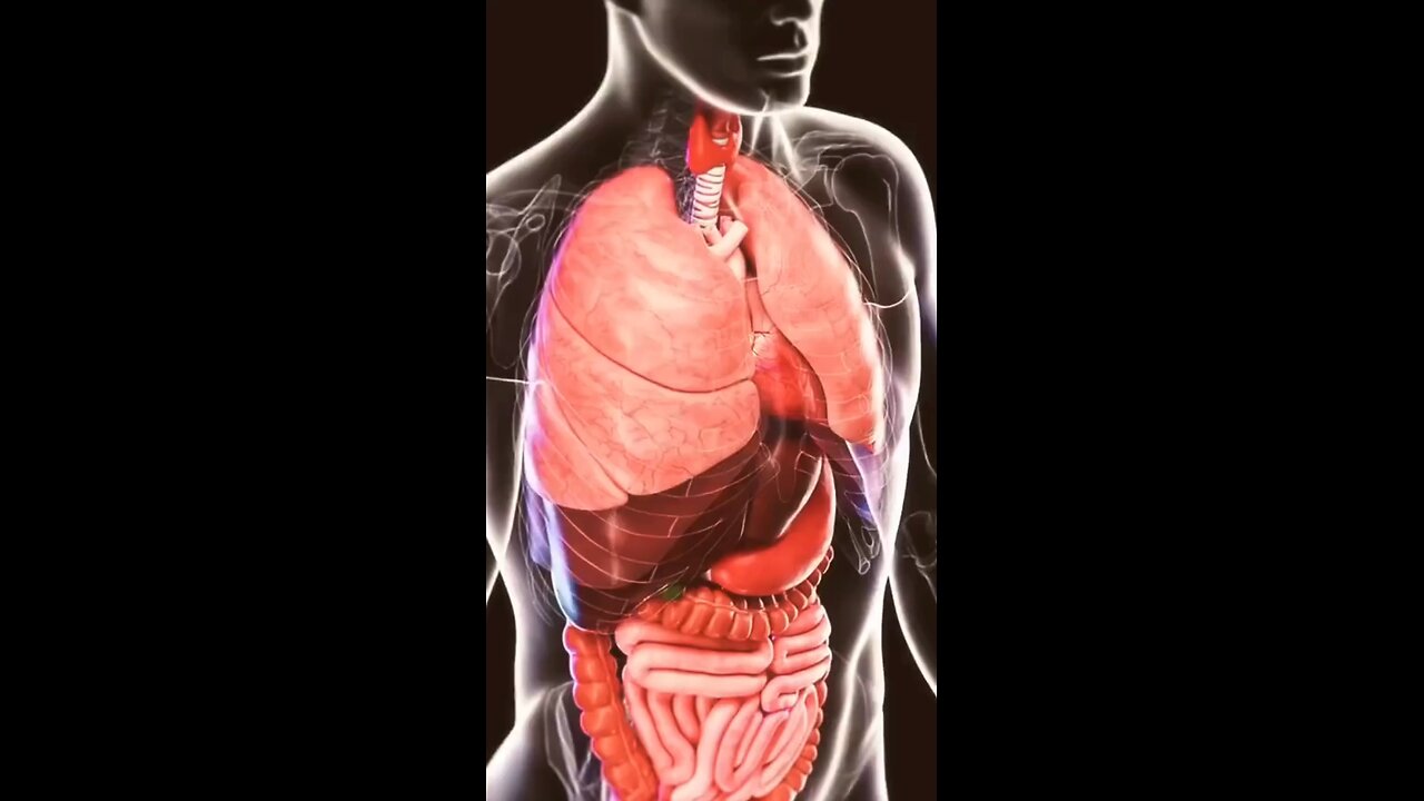 Humans Healthy food for everyone