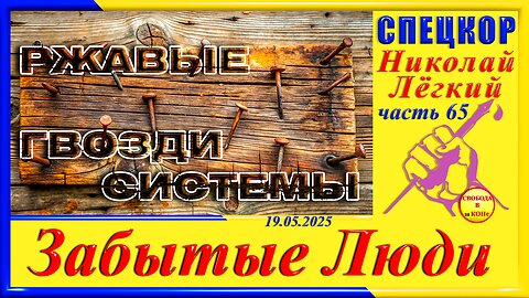 РЖАВЫЕ ГВОЗДИ СИСТЕМЫ-ч.65 Николай Легкий