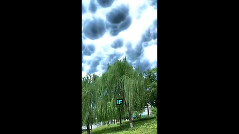 😶‍🌫️