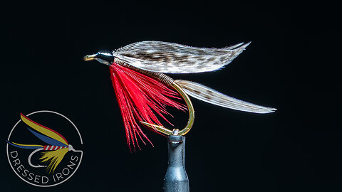 Tying the Light Blow Wet Fly- Dressed Irons