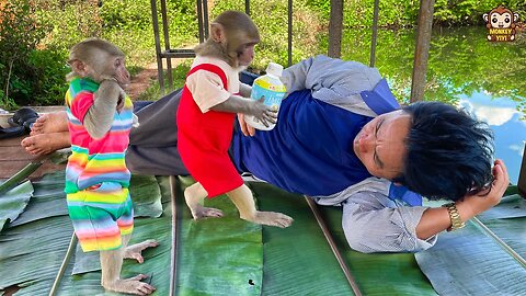 Touching! YiYi and YinYin sell sweet potatoes to buy water when grandpa is tired
