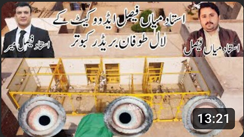 Laal Tufaan Breed Pigeons By Ustad Mian Faisal Advocate Watch In HD Urdu/Hindi