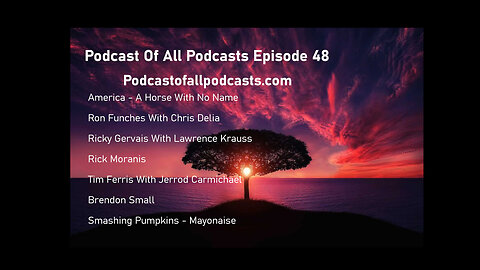 Episode 48 - America, Chris Delia, Lawrence Krauss, Rick Moranis, Jerrod Carmichael, Brendon Small